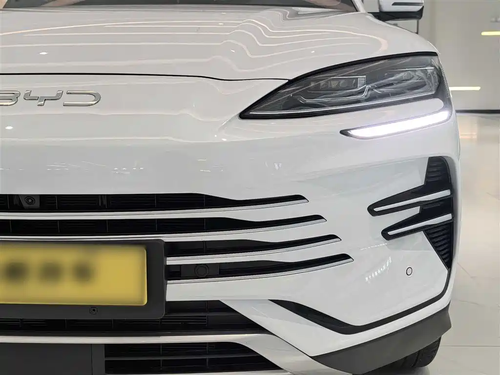BYD PLUS New Energy 2025 — фото 13