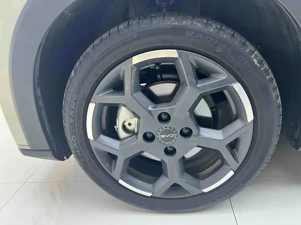 BYD Seagull 2024