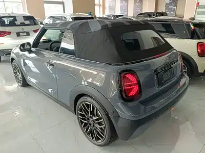 MINI MINI 2025