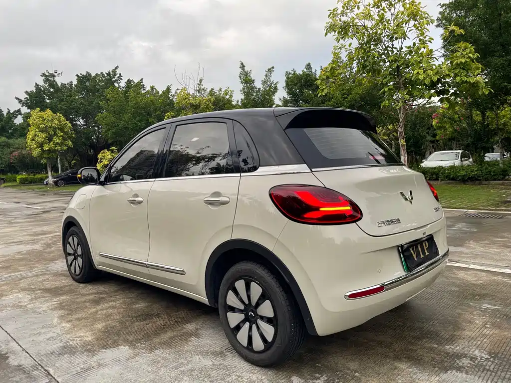 Wuling Bingo 2024