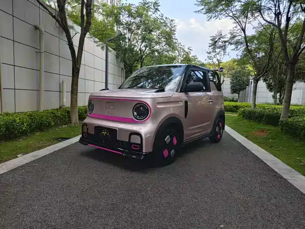 Geely Galaxy Panda 2024