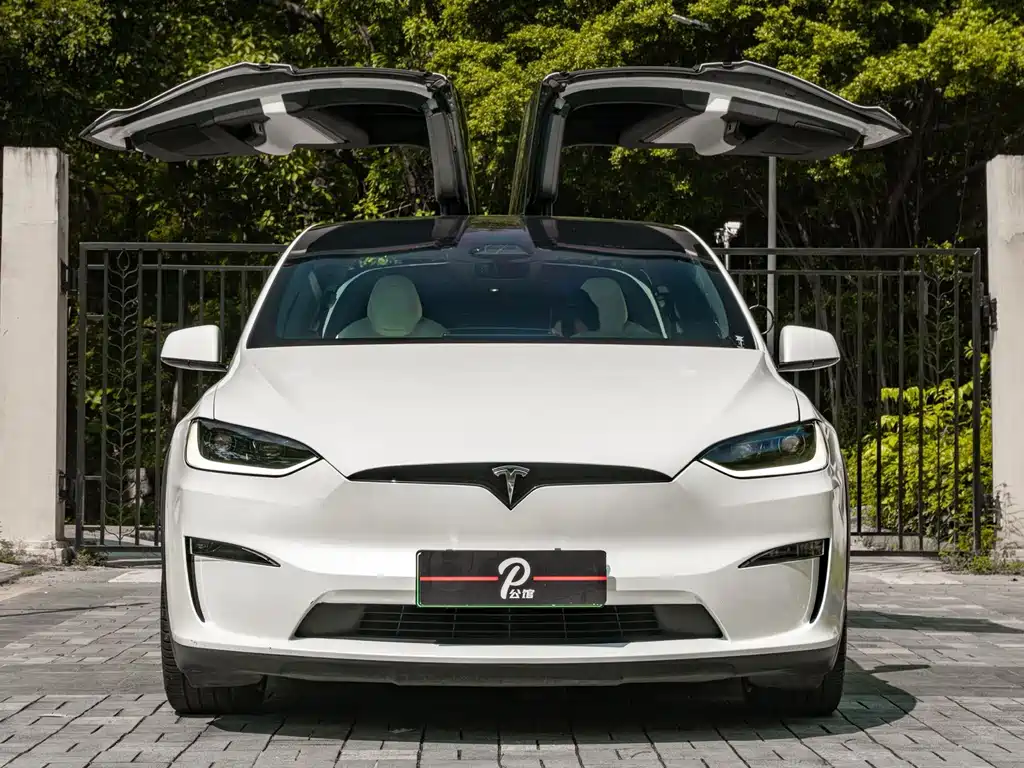Tesla Model X 2023 — фото 2