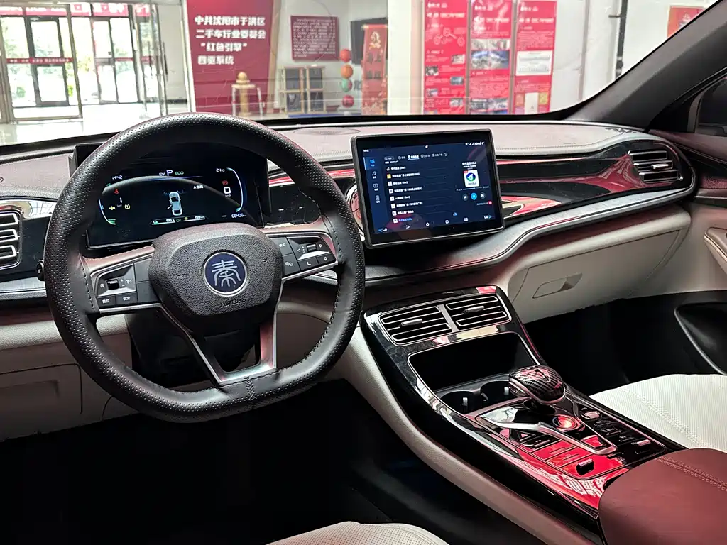 BYD Qin PLUS 2024 — фото 16