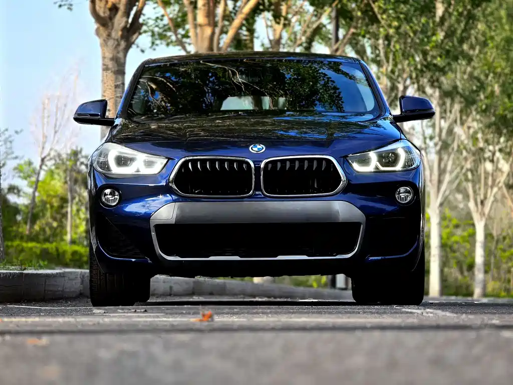 BMW X2 2019 — фото 2