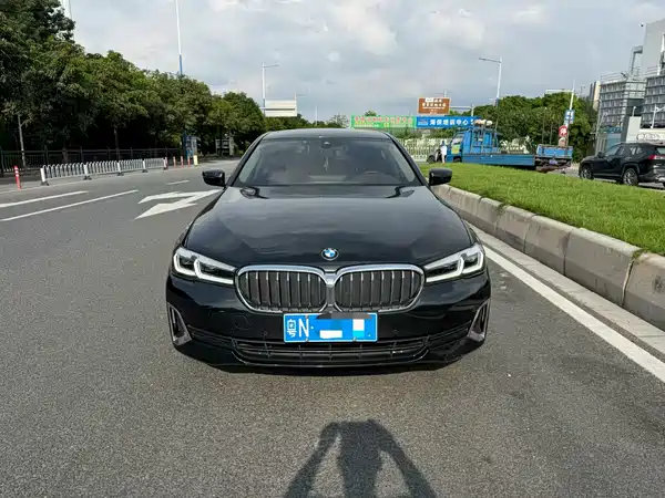 BMW 5 Series 2020