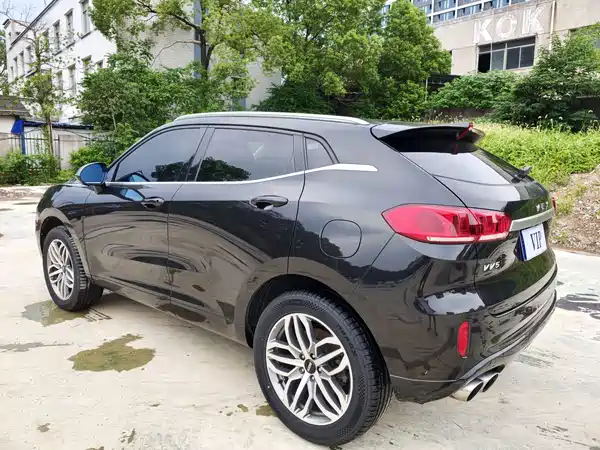Wey VV5 2019
