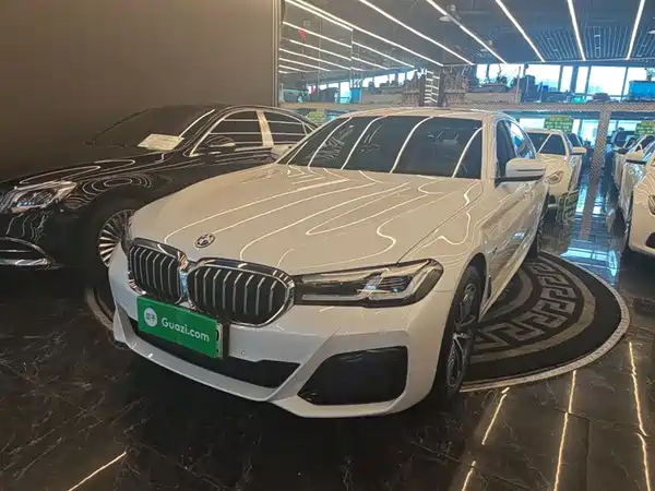 BMW 5 Series New Energy 2022
