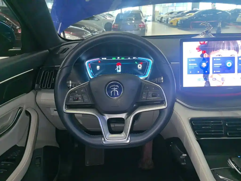 BYD Song PLUS New Energy 2023 — фото 11