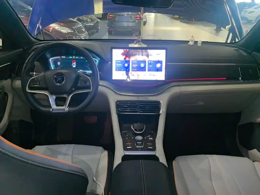 BYD Song PLUS New Energy 2023 — фото 10