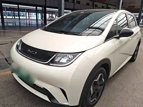 BYD Dolphin 2022