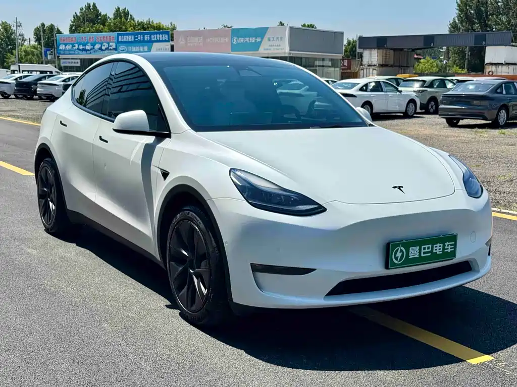 Tesla Model Y 2023 — фото 2