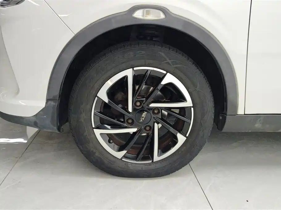 Neta V 2022