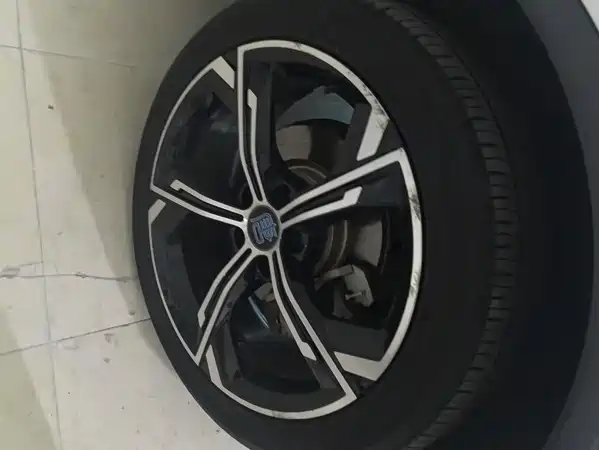BYD Tang New Energy 2022