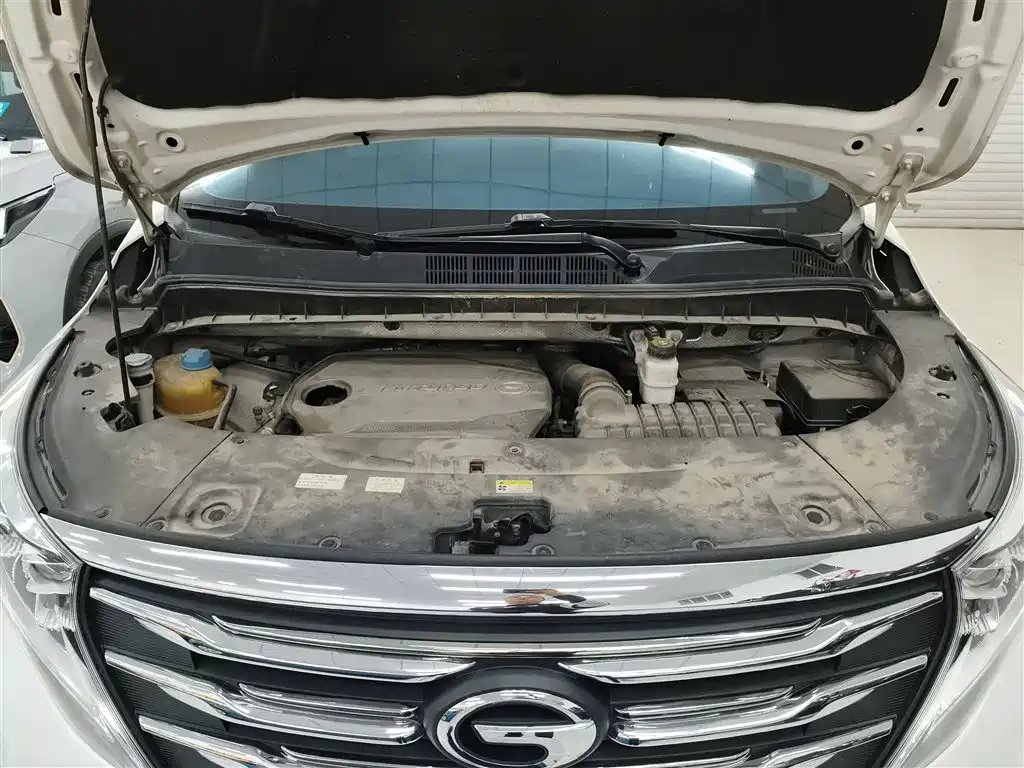 GAC Motor Trumpchi M8 2019 — фото 20
