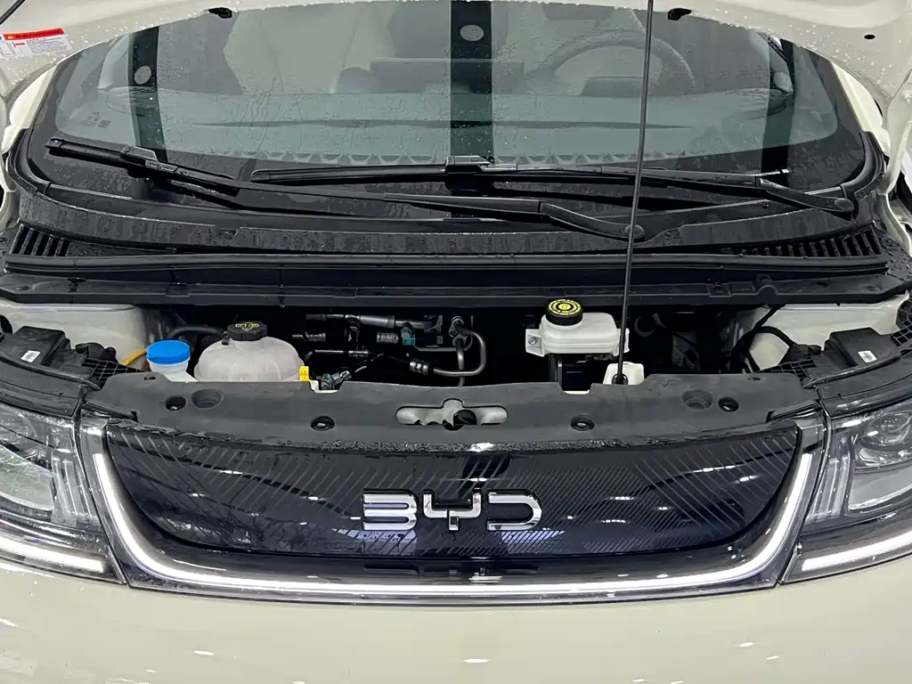 BYD Dolphin 2026