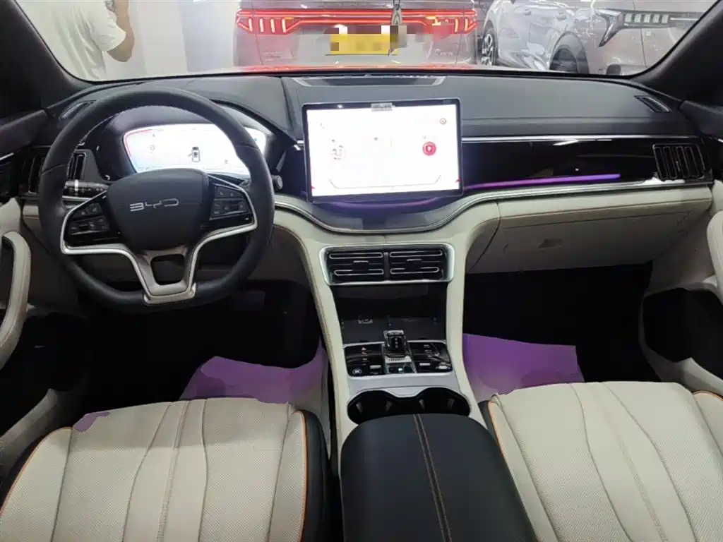 BYD PLUS New Energy 2024 — фото 10
