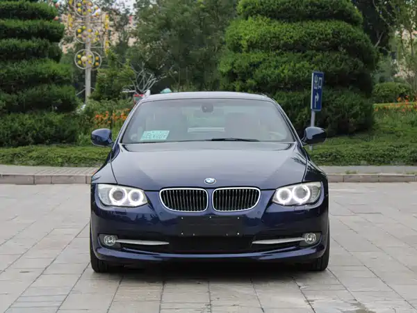 BMW 3 Series 2010