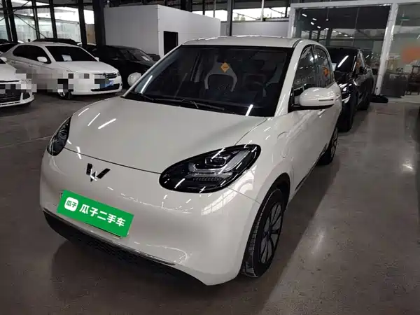 Wuling Bingo 2024
