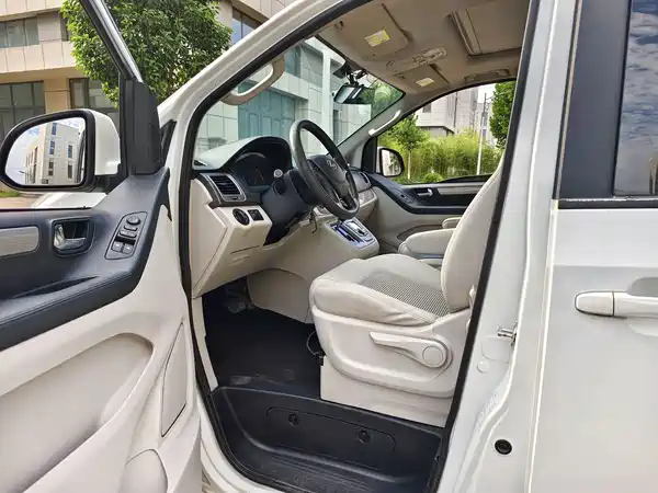 Maxus G10 2019