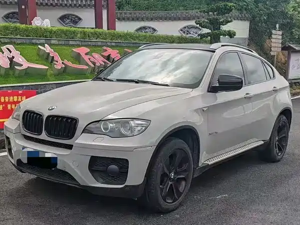 BMW X6 2011