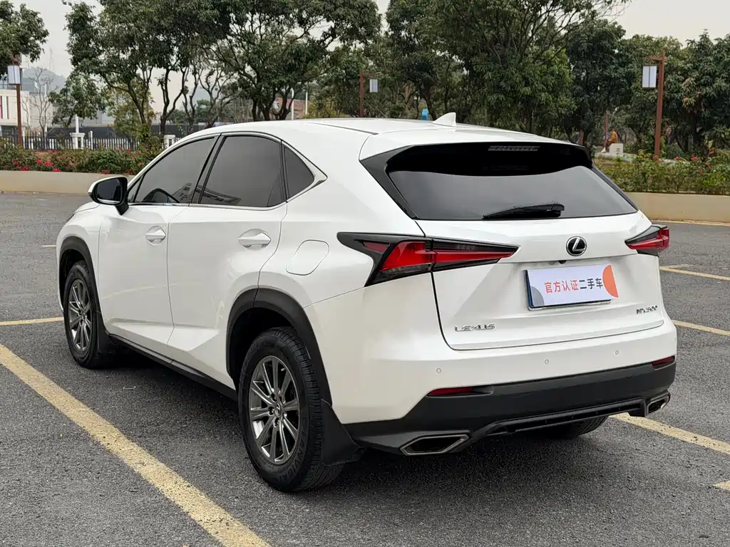 Lexus NX 2019 — фото 6