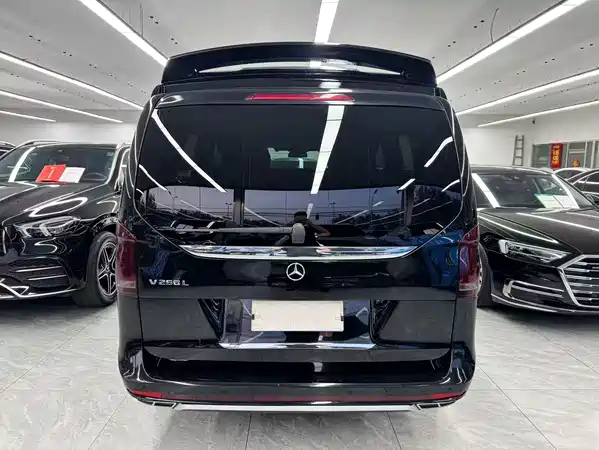 Mercedes-Benz V-Class 2019