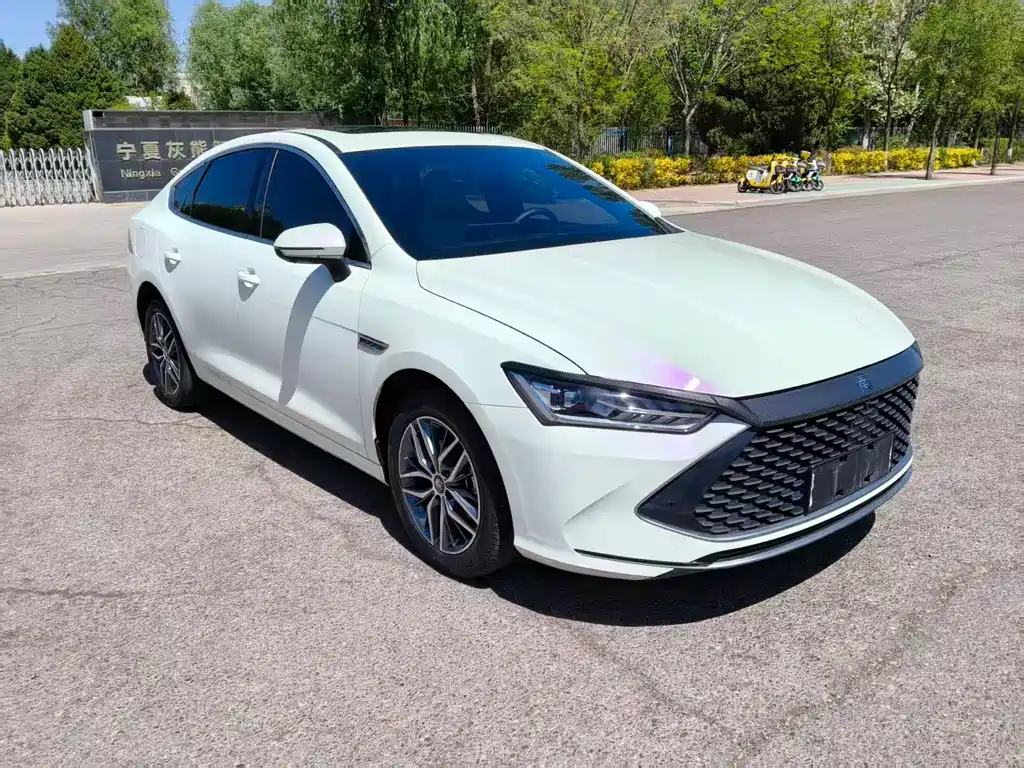 BYD Qin PLUS 2023 — фото 4