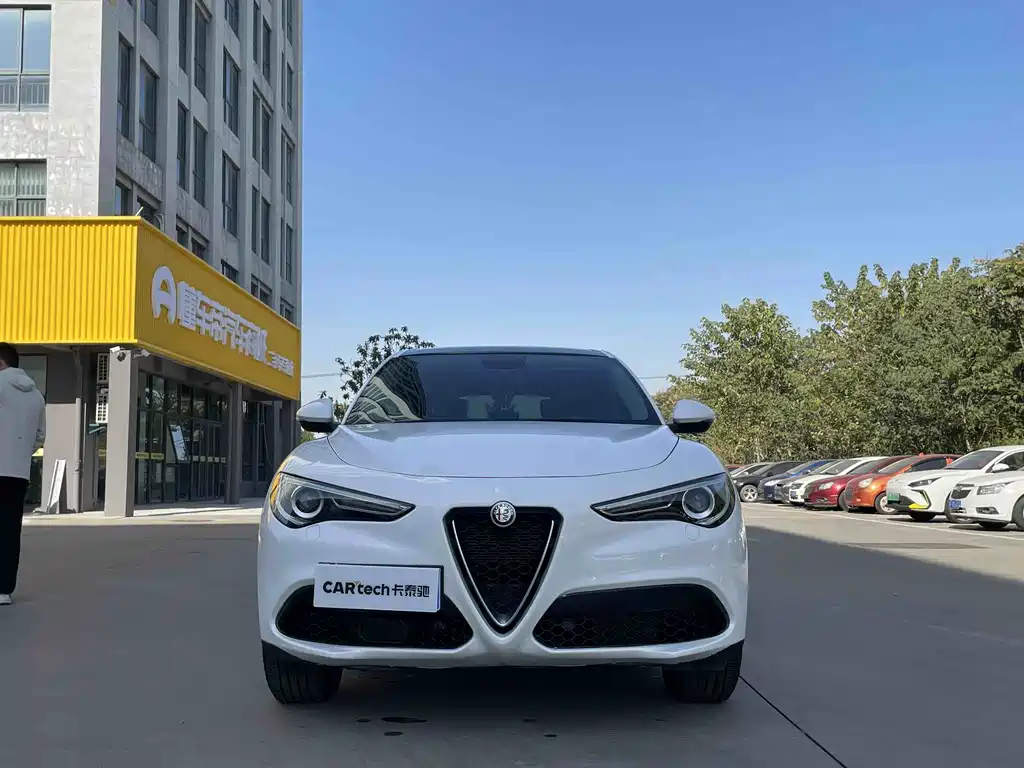 Alfa Romeo Stelvio 2019 — фото 2