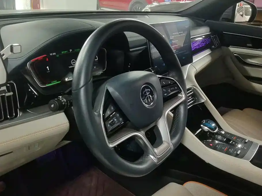 BYD Song PLUS New Energy 2022 — фото 15