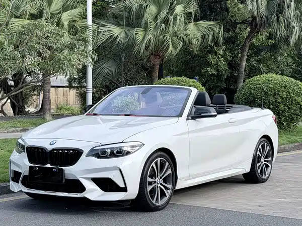BMW 2 Series 2019