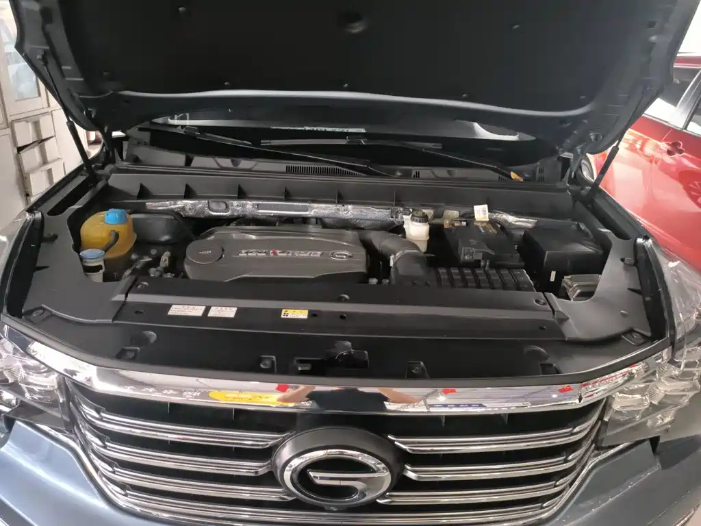 GAC Motor Trumpchi GS8 2017 — фото 16