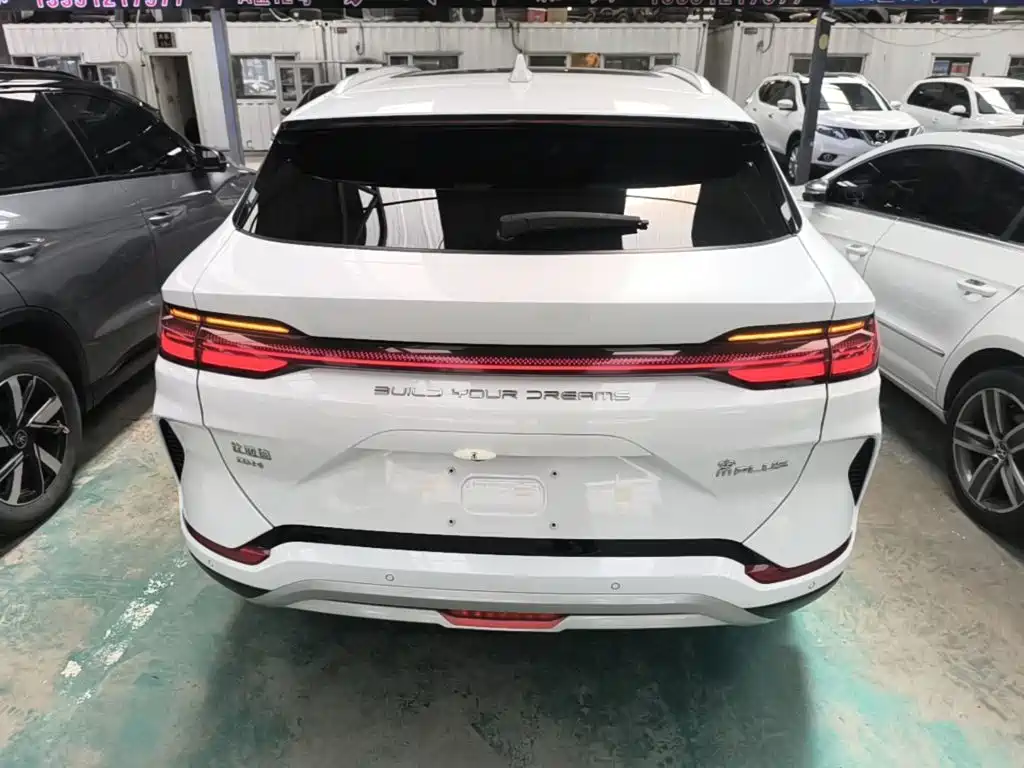 BYD Song PLUS New Energy 2024 — фото 4