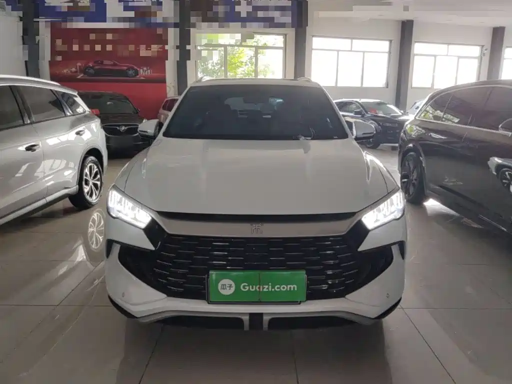 BYD Pro New Energy 2024 — фото 3