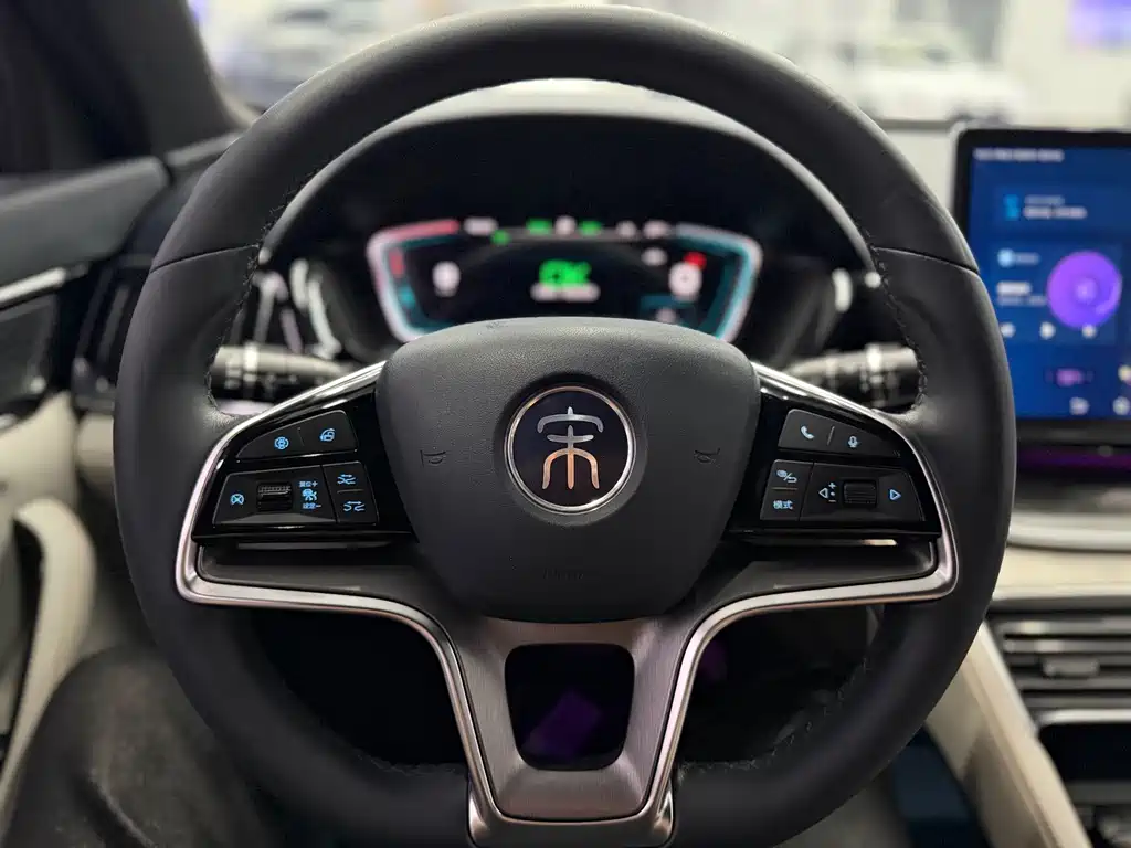 BYD PLUS New Energy 2021 — фото 13