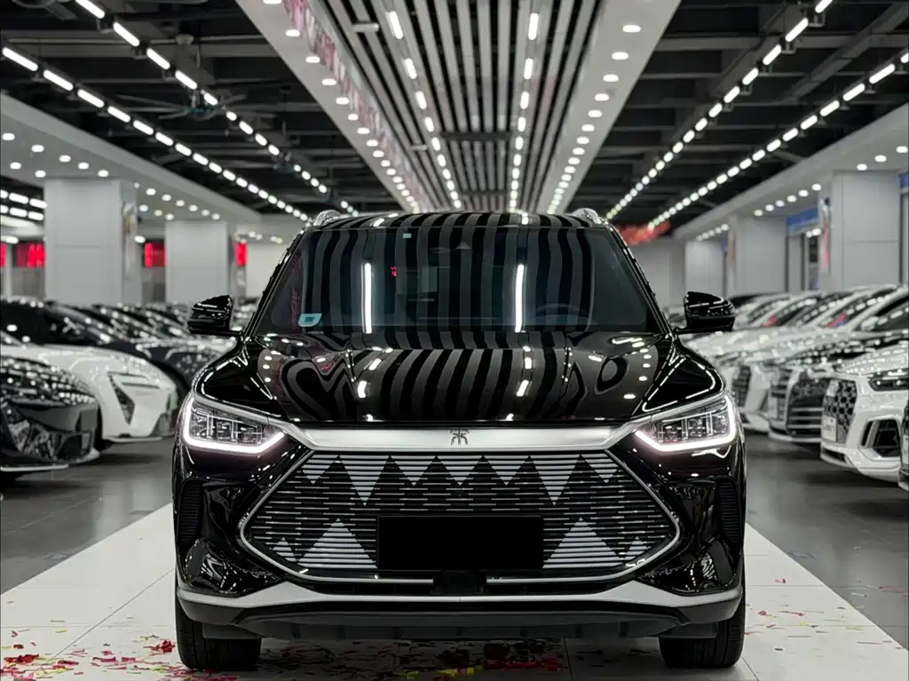 BYD PLUS New Energy 2021 — фото 2