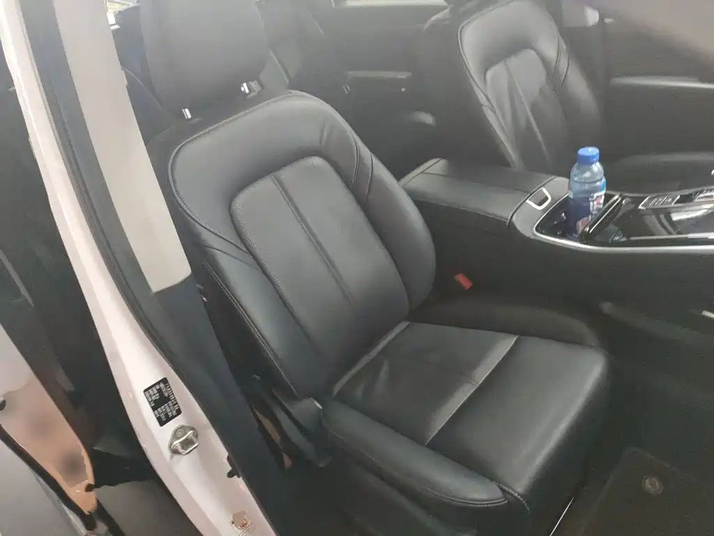 GAC Trumpchi M8 2023 — фото 25