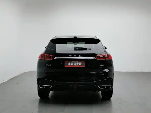 Wey VV5 2021