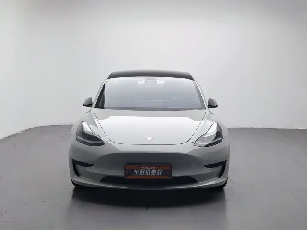 Tesla Model 3 2021 — фото 3