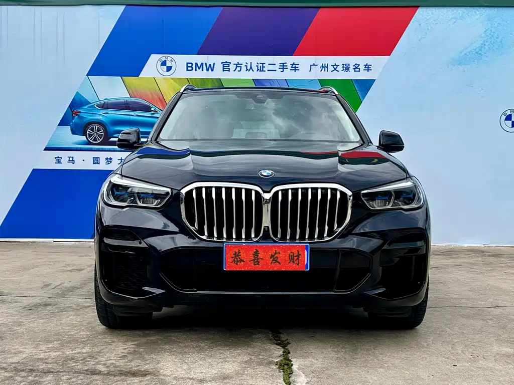 BMW X5 2022