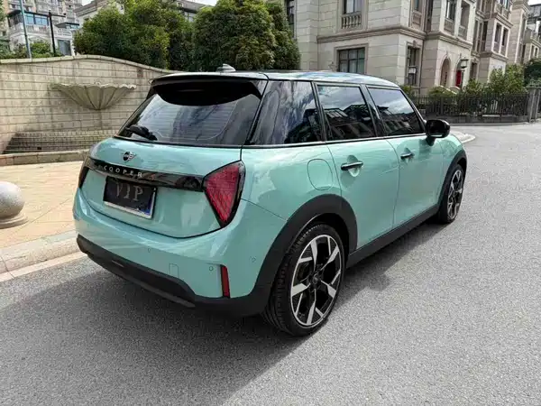 MINI MINI 2025
