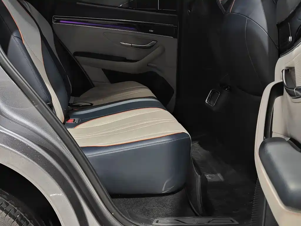 BYD PLUS New Energy 2022 — фото 10