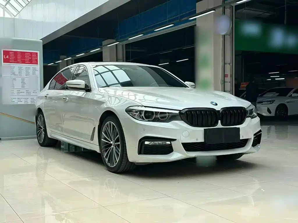 BMW 5 Series 2018 — фото 11