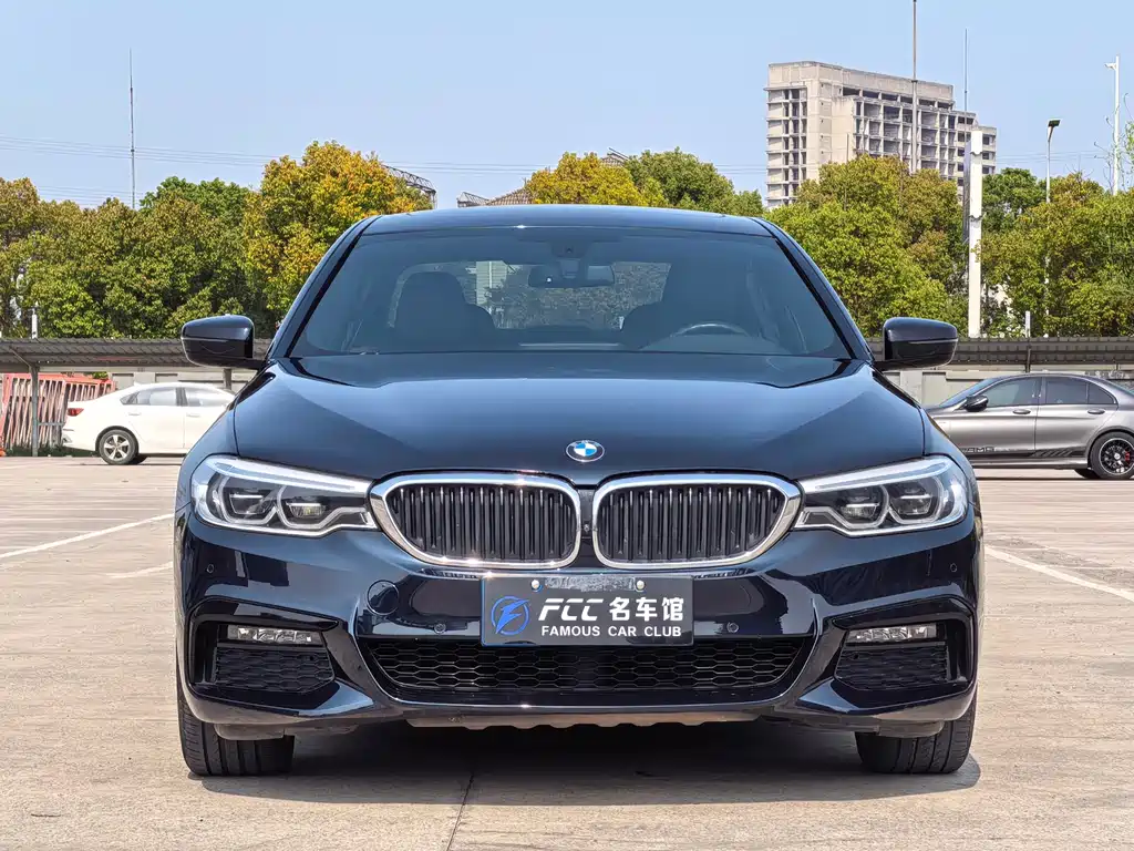 BMW 5 Series 2019 — фото 2