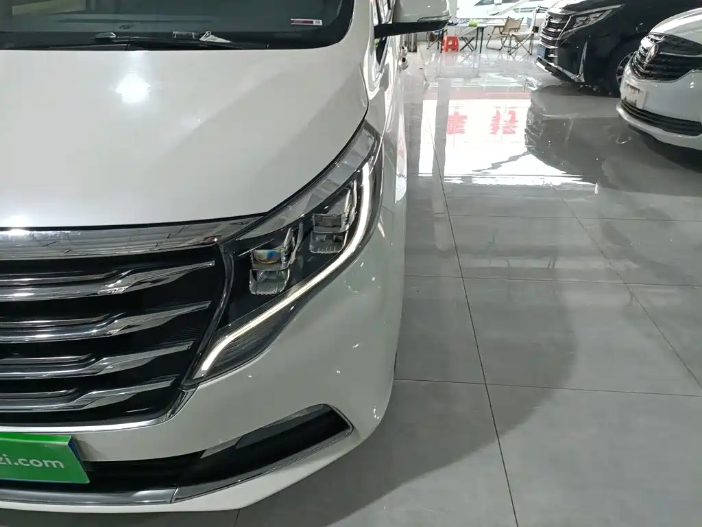 GAC Motor Trumpchi M8 2019 — фото 24