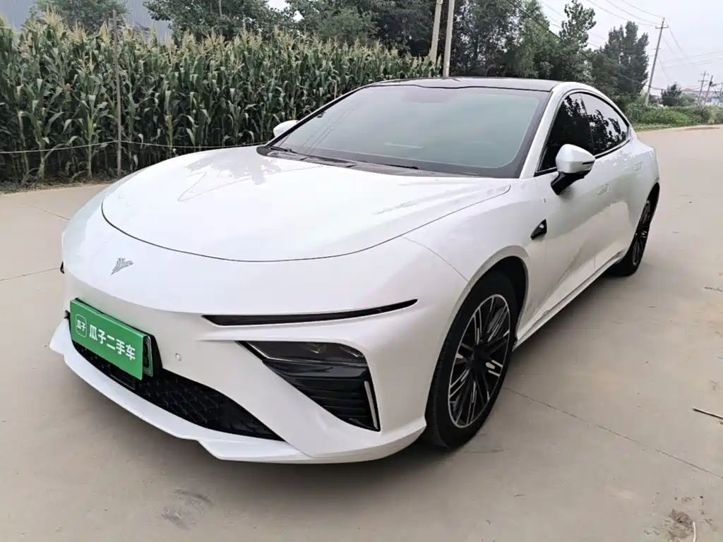 Neta S 2023