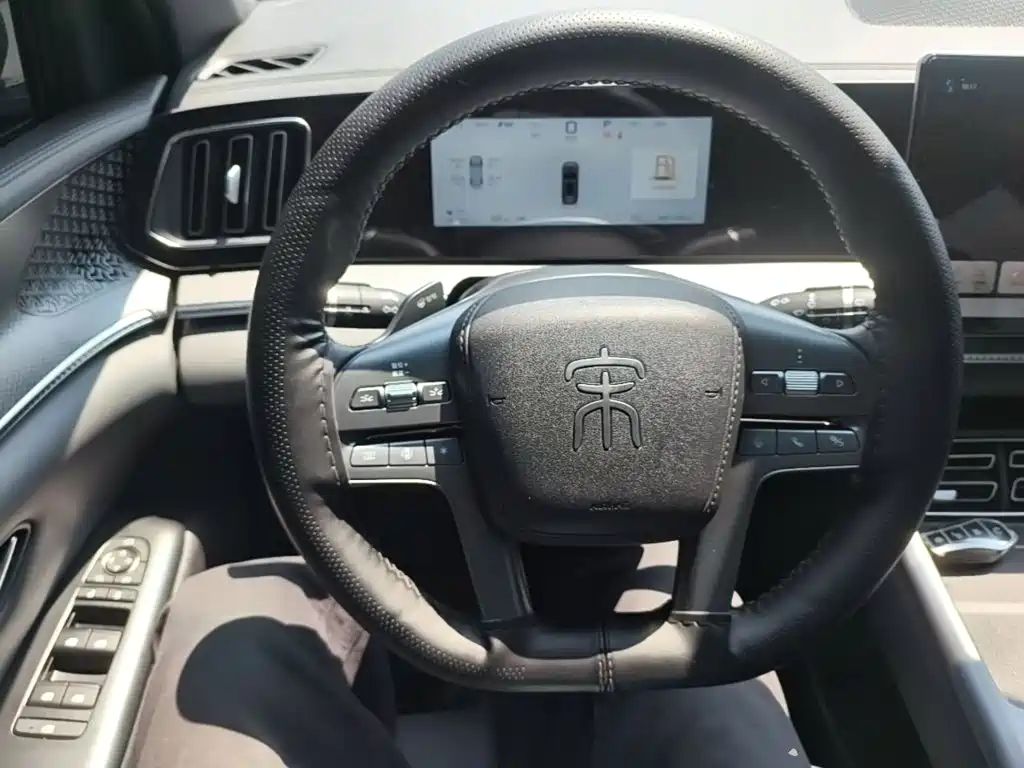 BYD Pro New Energy 2025 — фото 11