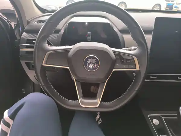 BYD Qin Pro 2021