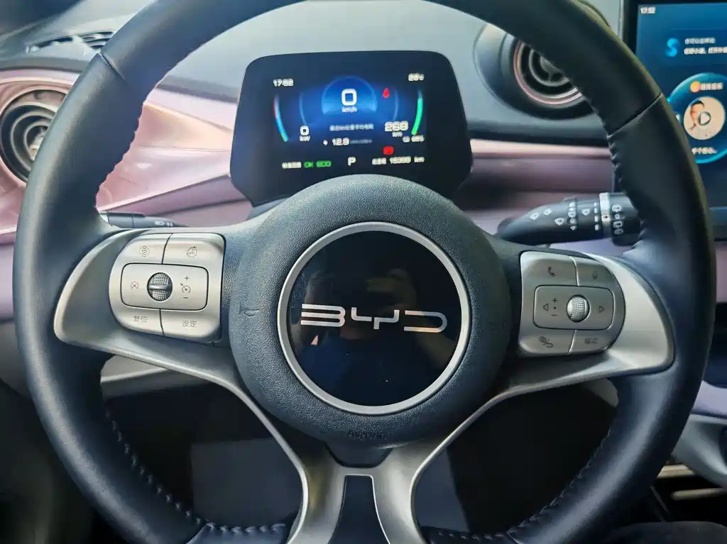BYD Dolphin 2023 — фото 10