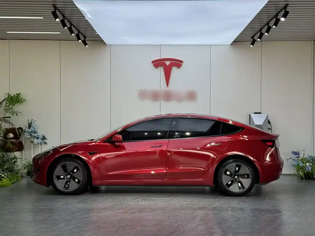 Tesla Model 3 2021 — фото 5
