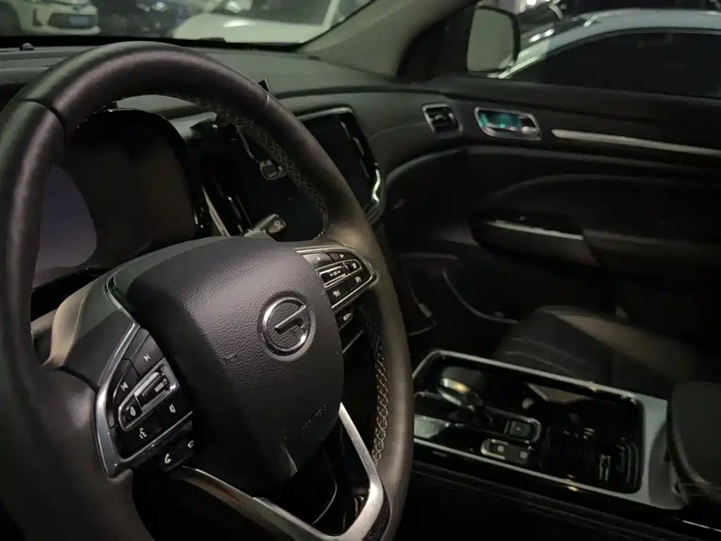 GAC Trumpchi GS8 2020 — фото 14